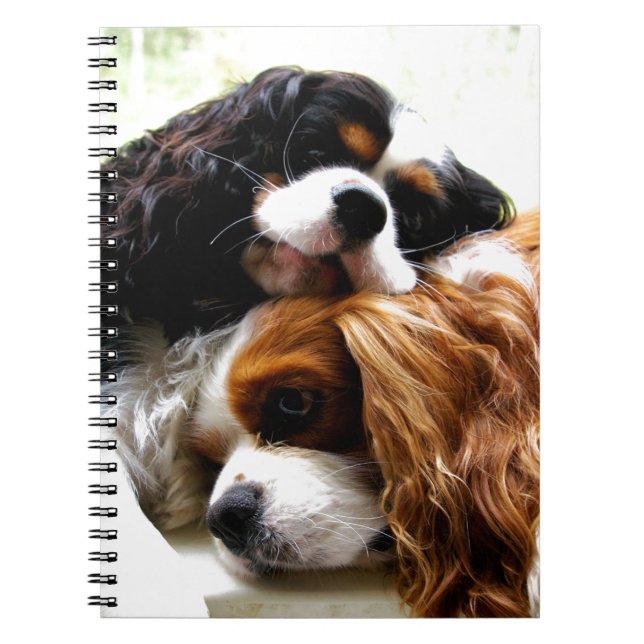 Brothers Cavaliers Notebook (Front)
