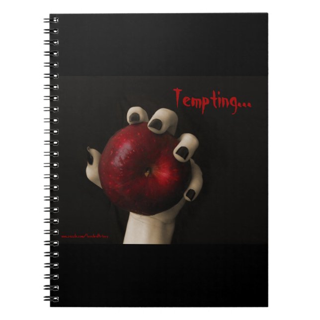 Brothers Grimm Tempting Witch Notebook (Front)