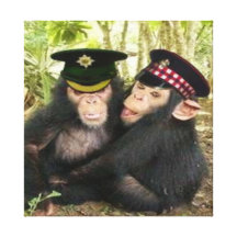 Brothers in Arms Stretched Canvas Print