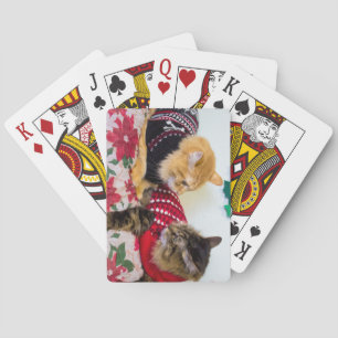 Brothers Playing Cards