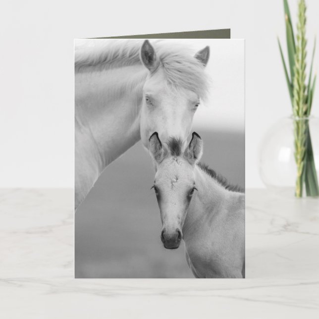 Brothers Wild Horse Greeting Card (Front)