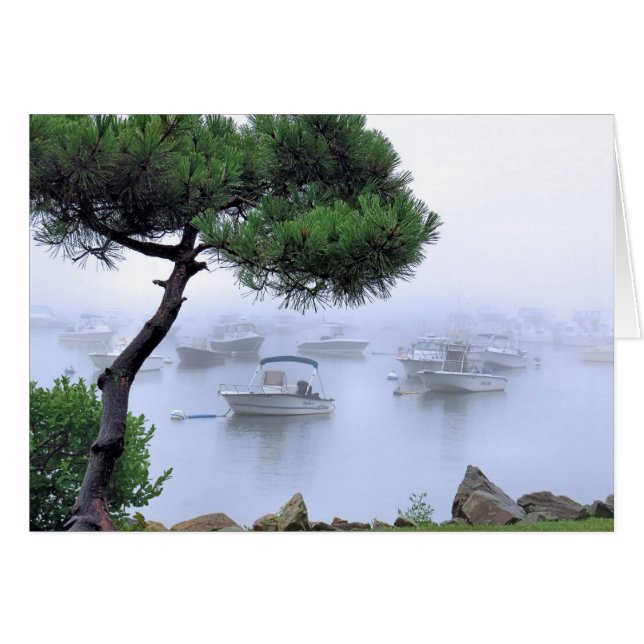 Brouillard de bord de mer (Devant horizontal)