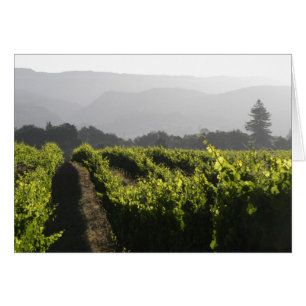 Brouillard de matin de Napa