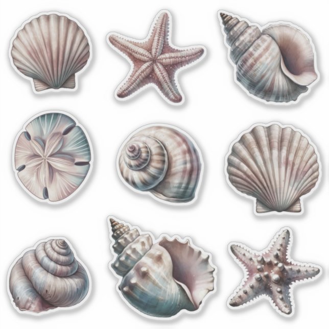 Brouillard Divers Stickers Sea Shell - ensemble 9 (Devant)