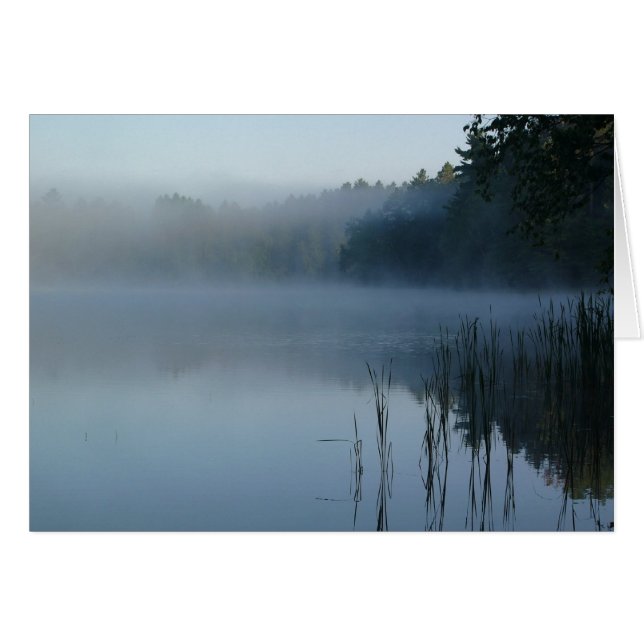 brouillard sur la patte de l'ours (Devant horizontal)