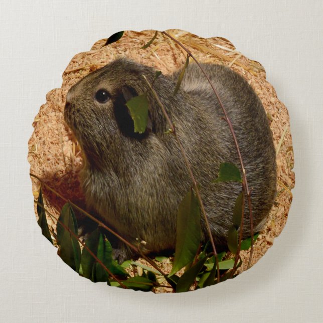 Brown Adorable Guinea Pig, Round Pillow (Front)