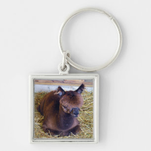 Brown Alpaca Keychain