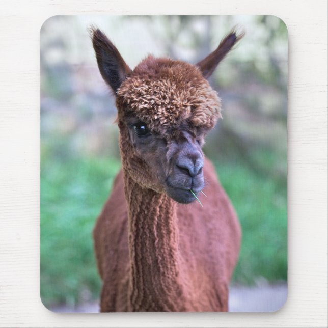 Brown Alpaca Mousemat Mouse Pad (Front)