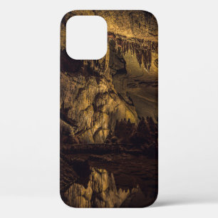 BROWN AND BLACK CAVE PAINTING iPhone 12 CASE