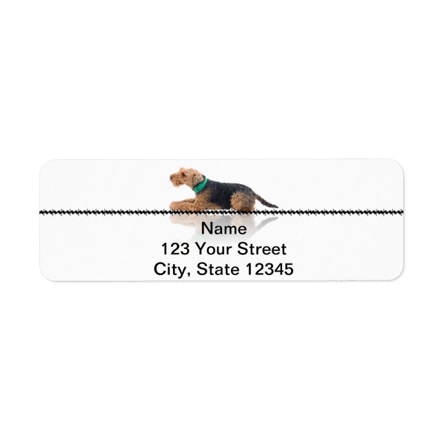 Brown and Black Welsh Terrier Return Address Label (Front)