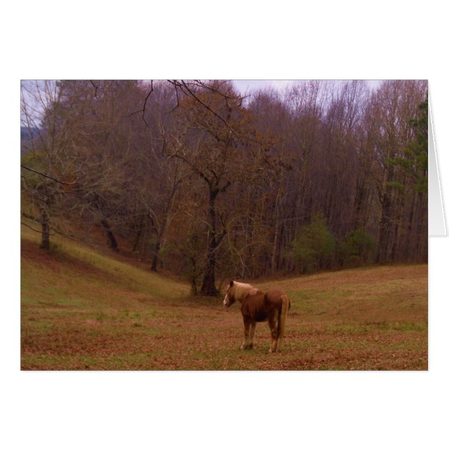 Brown and Blonde Horse in a field (Front Horizontal)