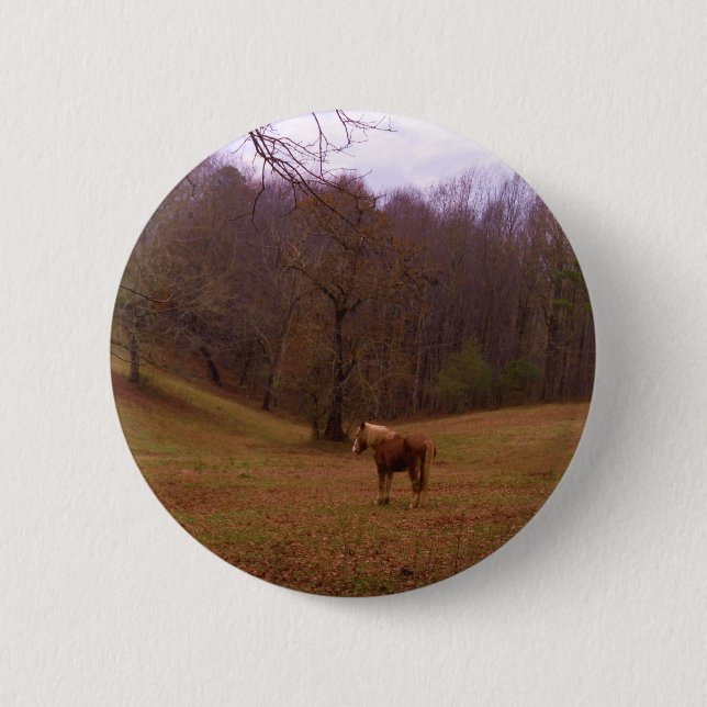 Brown and Blonde Horse in a field 2 Inch Round Button (Front)