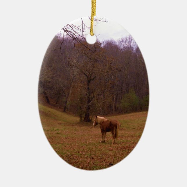 Brown and Blonde Horse in a field Ceramic Ornament (Front)