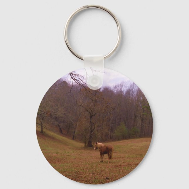 Brown and Blonde Horse in a field Keychain (Front)