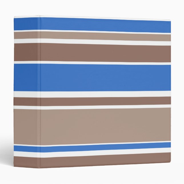Brown and blue stripes binder (Front/Spine)