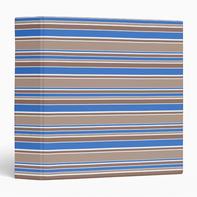 Brown and blue stripes binder (Front/Spine)
