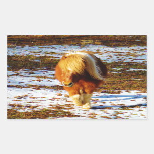 Brown and cream miniature horse in the snow. sticker