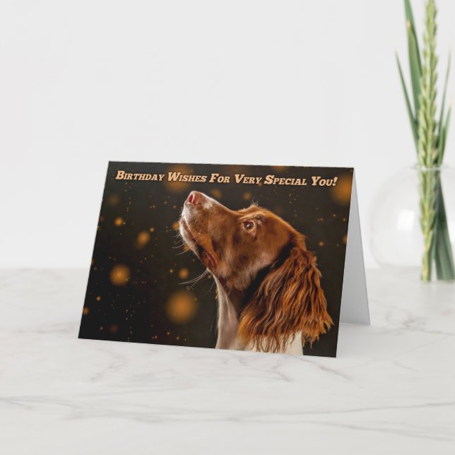 Brown And Cream Springer Spaniel, Birthday Wishes Card (Front)