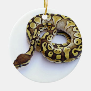 Brown and Gold Ball Python 2 Ceramic Ornament