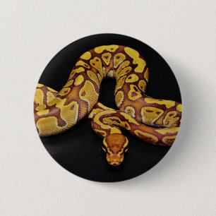 Brown and Gold Ball Python 2 Inch Round Button