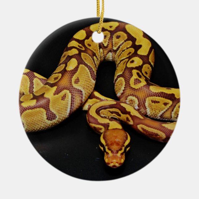 Brown and Gold Ball Python Ceramic Ornament (Front)