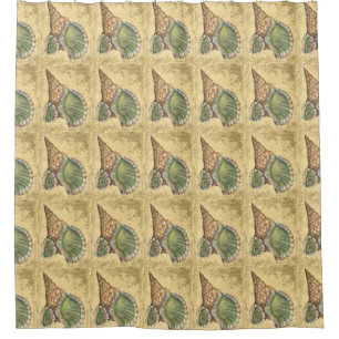 Brown and Green Seashell