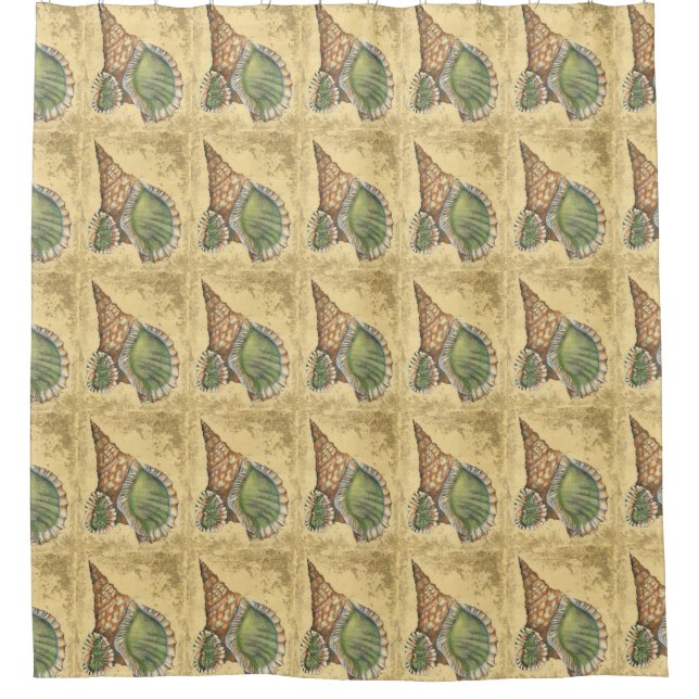 Brown and Green Seashell (Front)