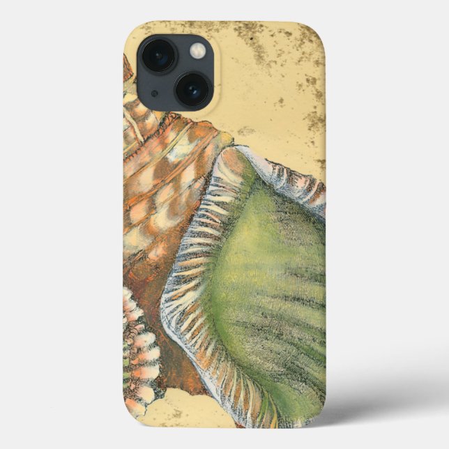 Brown and Green Seashell Case-Mate iPhone Case (Back)