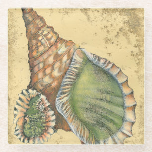 Brown and Green Seashell Glass Coaster