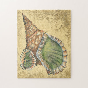 Brown and Green Seashell Jigsaw Puzzle