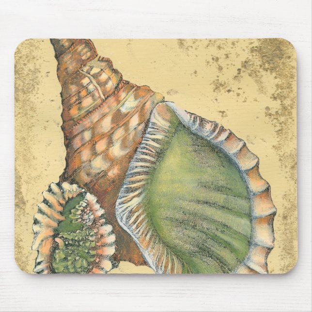 Brown and Green Seashell Mouse Pad (Front)