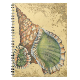 Brown and Green Seashell Notebook