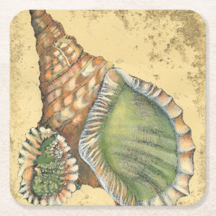 Brown and Green Seashell Square Paper Coaster