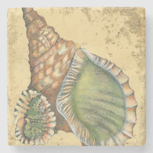 Brown and Green Seashell Stone Coaster