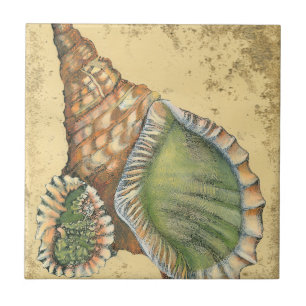 Brown and Green Seashell Tile