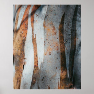Brown and grey tree trunk poster