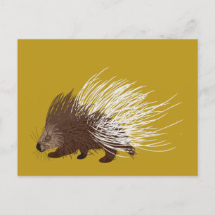 Brown and Mustard Gold Porcupine Postcard
