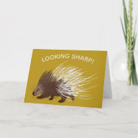 Brown and Mustard Porcupine Birthday