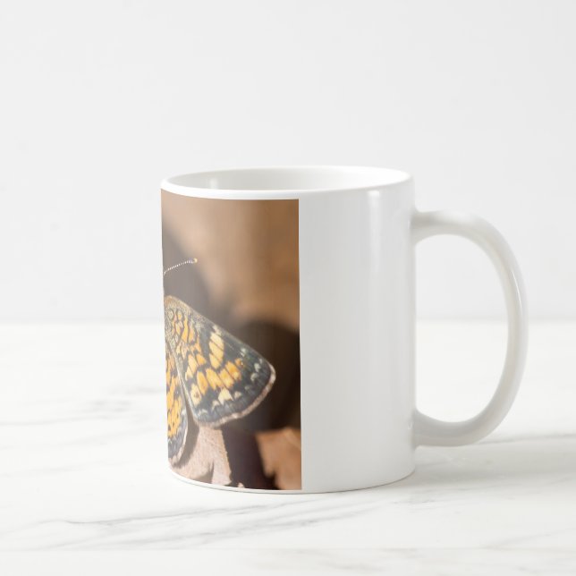 Brown and Orange Moth Apparel and Gifts Coffee Mug (Right)