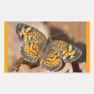 Brown and Orange Moth Apparel and Gifts Sticker