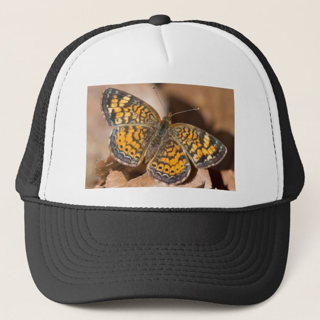 Brown and Orange Moth Apparel and Gifts Trucker Hat (Front)