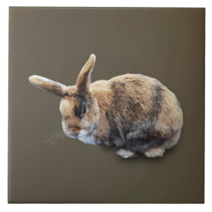 Brown and Tan Rabbit Tile