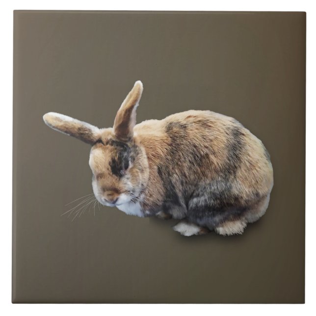 Brown and Tan Rabbit Tile (Front)