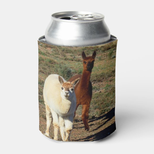 Brown And White Alpacas, Can Cooler (Can Front)