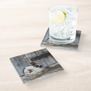 Brown and White Bunny Rabbit on the Farm Glass Coaster