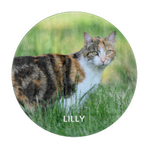 Brown and white cat cutting board