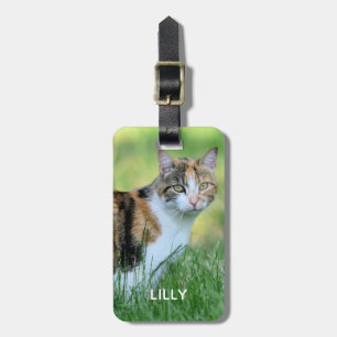 Brown and white cat luggage tag