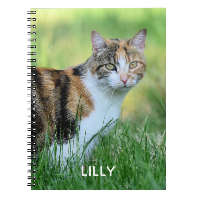 Brown and white cat notebook (Front)