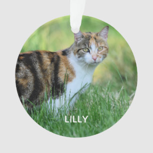Brown and white cat ornament