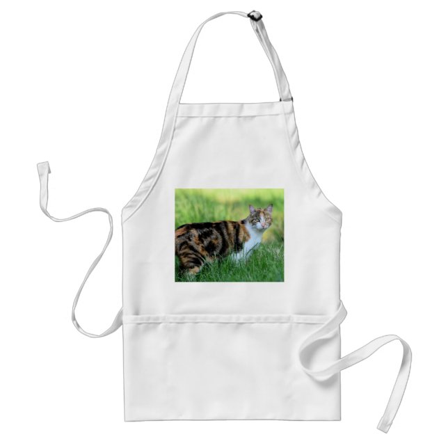 Brown and white cat standard apron (Front)